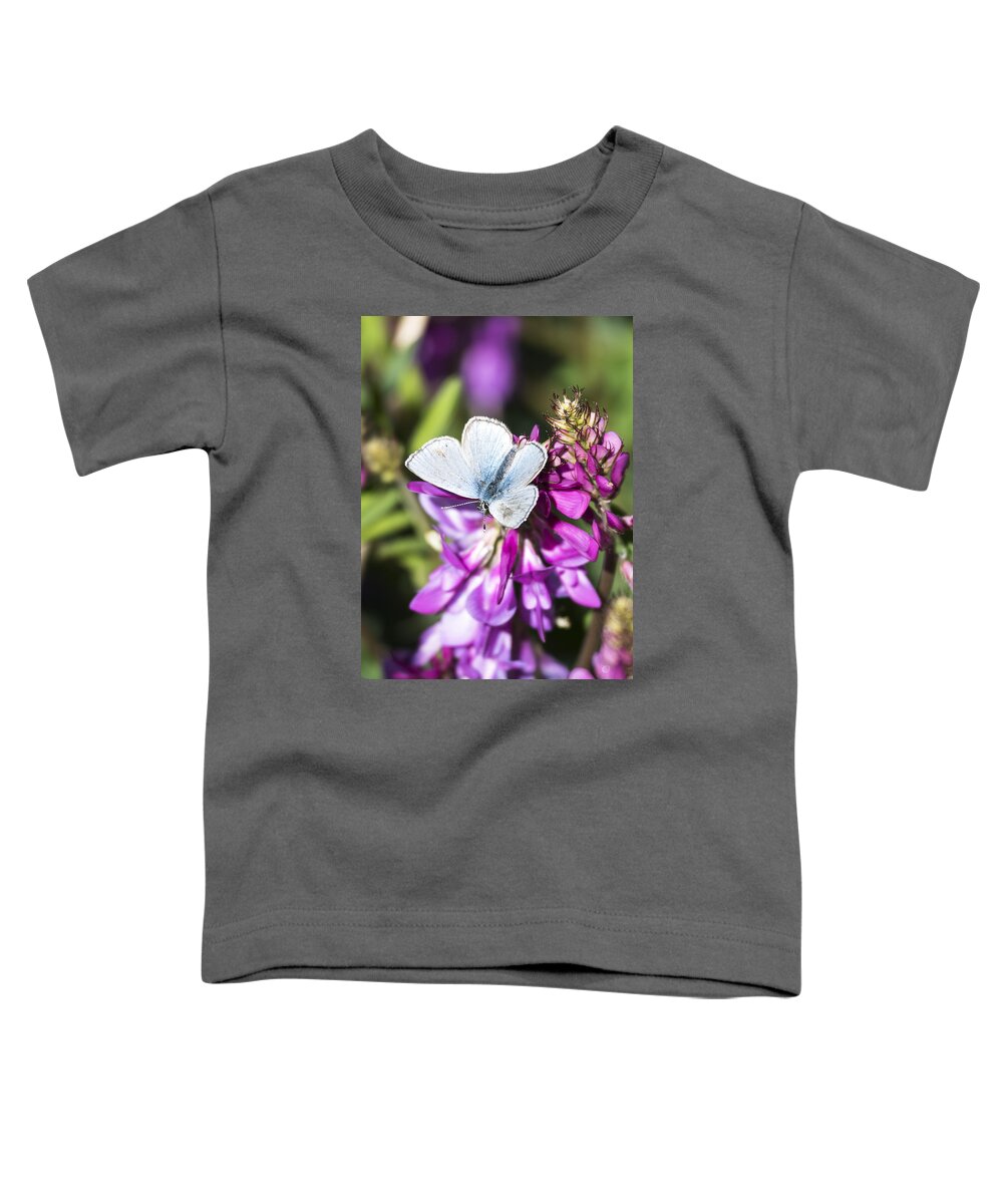 Fort Yukon Toddler T-Shirt featuring the photograph Northern Blue Butterfly by Ian Johnson