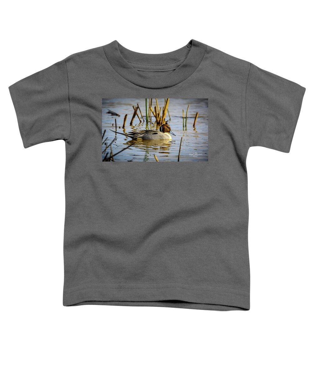 Pintale Toddler T-Shirt featuring the photograph Northern Pintale Duck by Steph Gabler