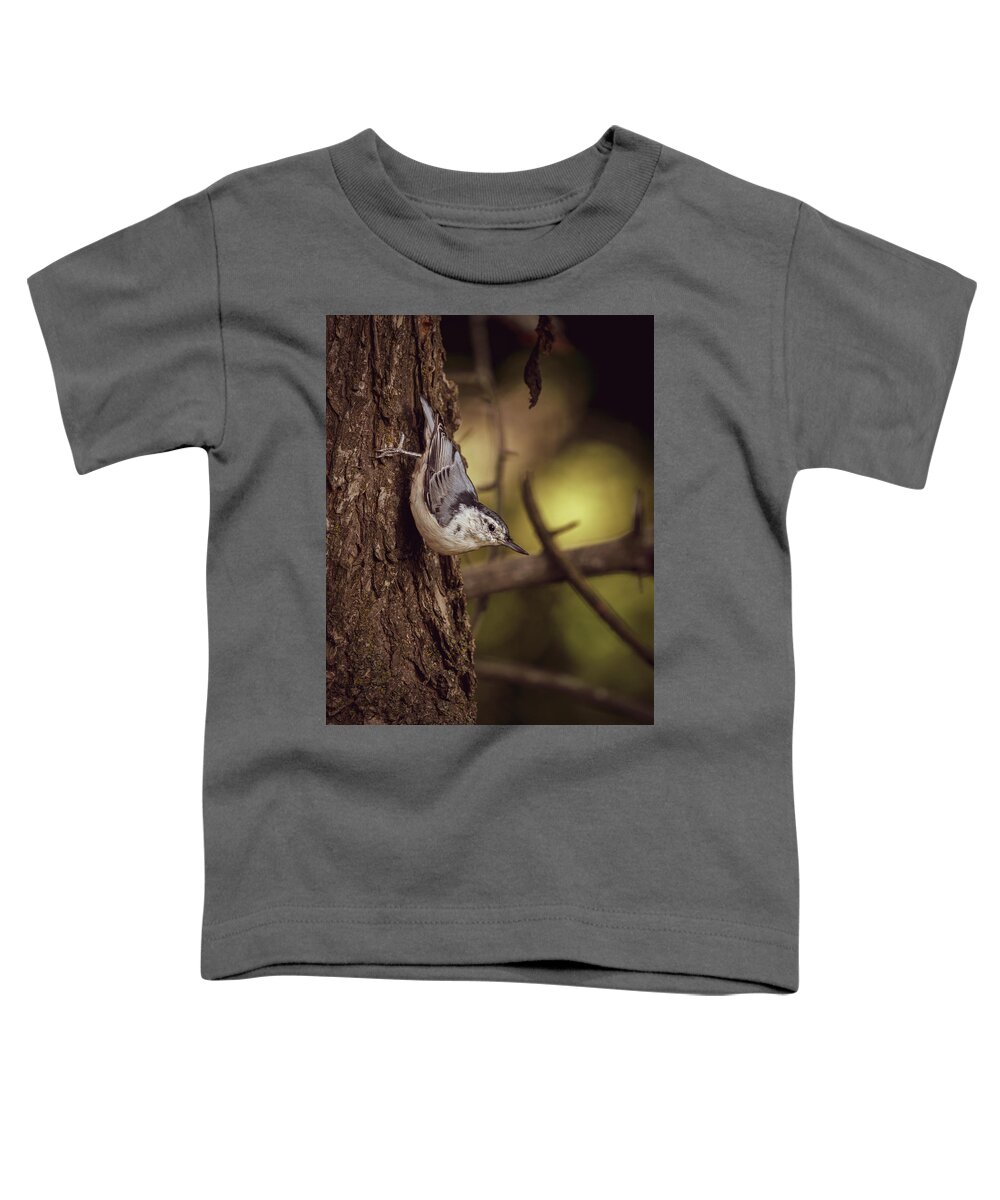 White Breasted Nuthatch Toddler T-Shirt featuring the photograph Nuthatch Morning by Bob Orsillo