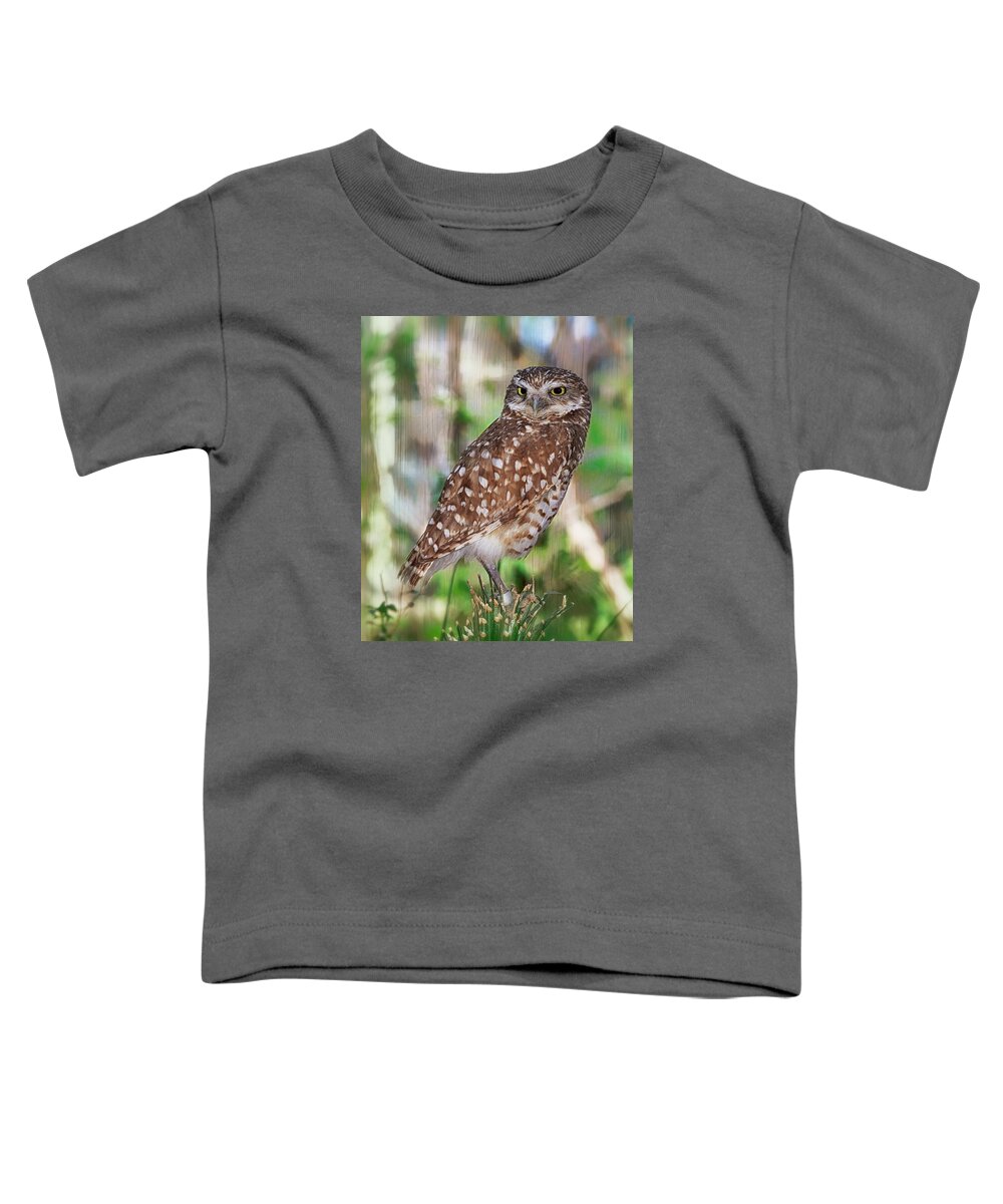Owls Toddler T-Shirt featuring the photograph Observer by Elaine Malott