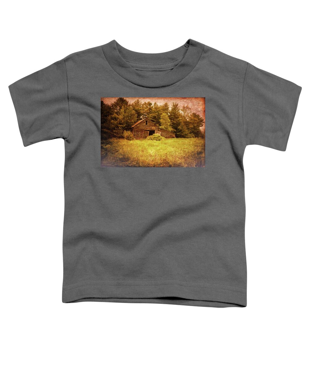 Landscape Toddler T-Shirt featuring the photograph Old Barn by Bob Orsillo