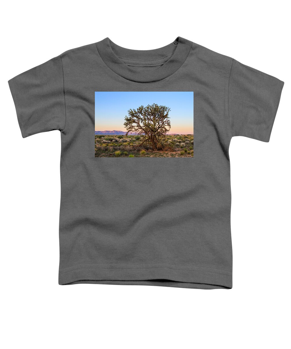 Bonnie Follett Toddler T-Shirt featuring the photograph Old Growth Cholla Cactus view 2 by Bonnie Follett