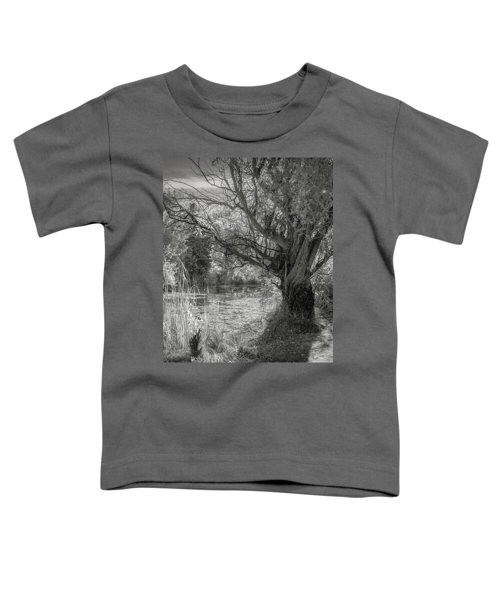 24-105 F/4 Is L Toddler T-Shirt featuring the photograph Old Willow by Mark Mille