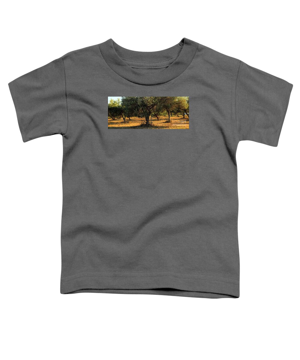 Symbol Toddler T-Shirt featuring the photograph Olive Grove 3 by Angela Rath