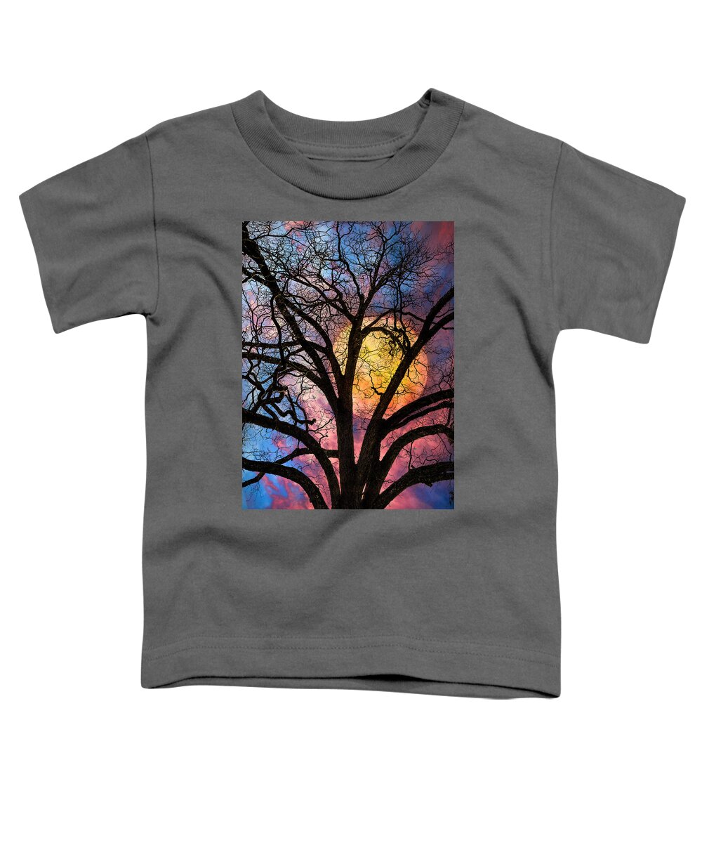Appalachia Toddler T-Shirt featuring the photograph On a Moonlit Night by Debra and Dave Vanderlaan