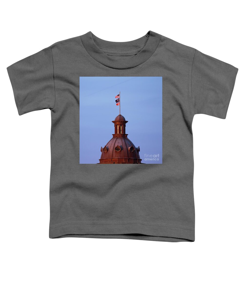 Clemson Toddler T-Shirt featuring the photograph On the Dome-4 by Charles Hite