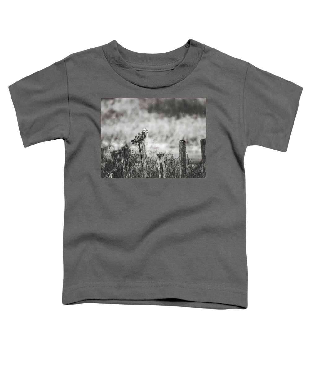 Black And White Toddler T-Shirt featuring the photograph On The Fence BW by Carrie Ann Grippo-Pike
