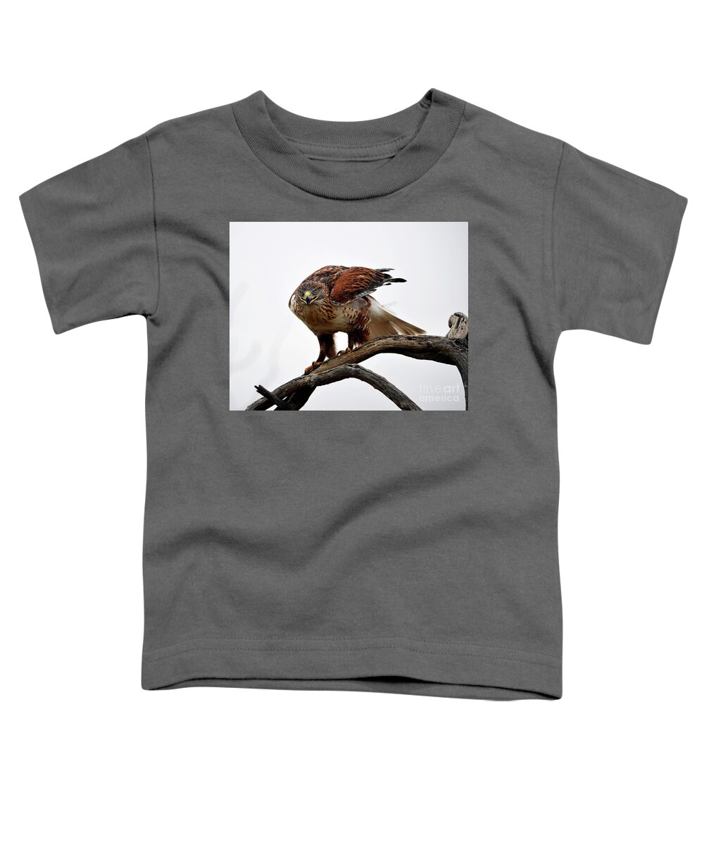 Denise Bruchman Toddler T-Shirt featuring the photograph On the Hunt by Denise Bruchman