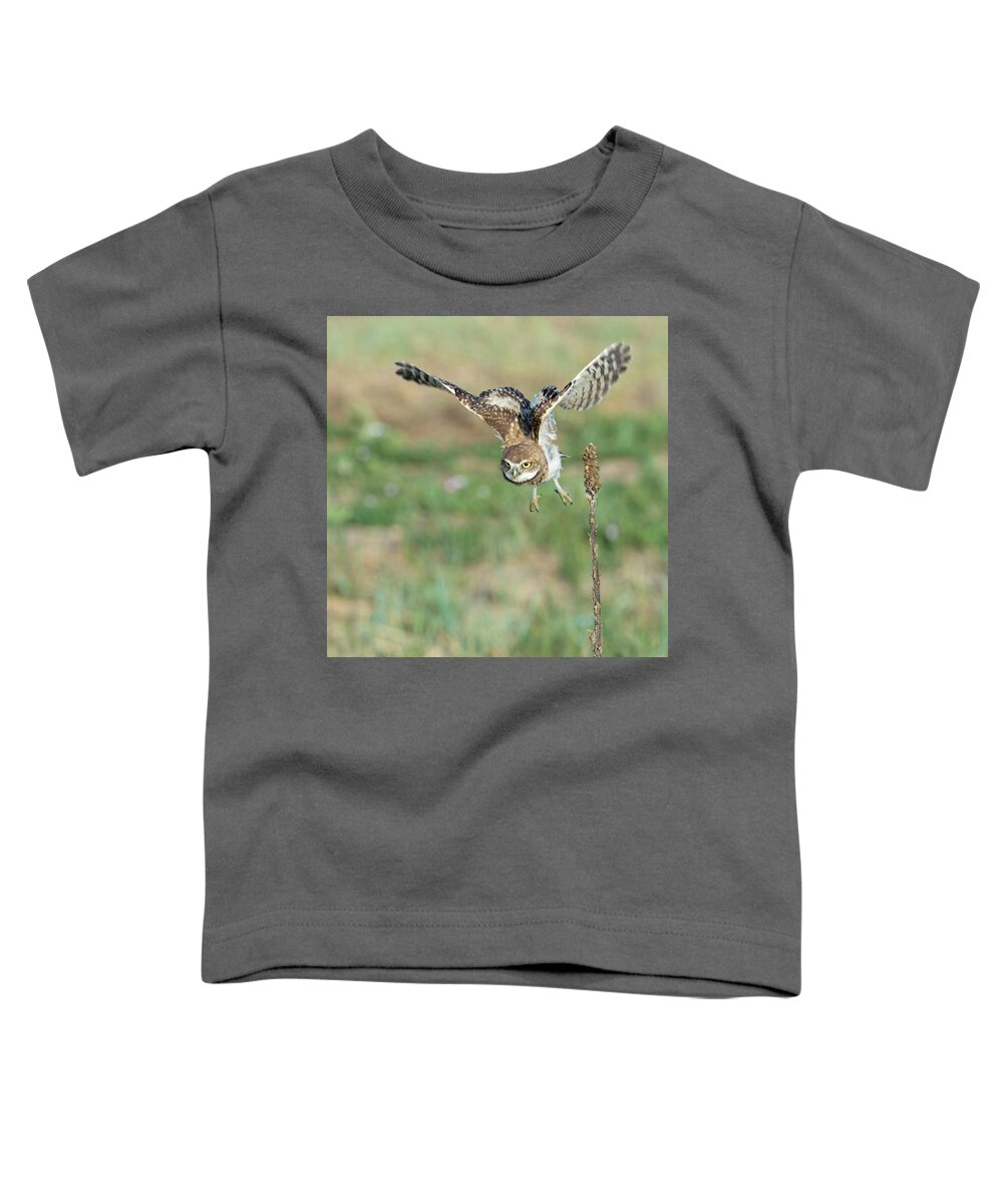 Burrowing Owl Toddler T-Shirt featuring the photograph On the Hunt by Judi Dressler