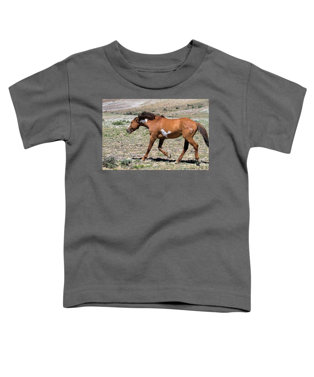 Wild Stallions Toddler T-Shirt featuring the photograph On the Prod by Jim Garrison