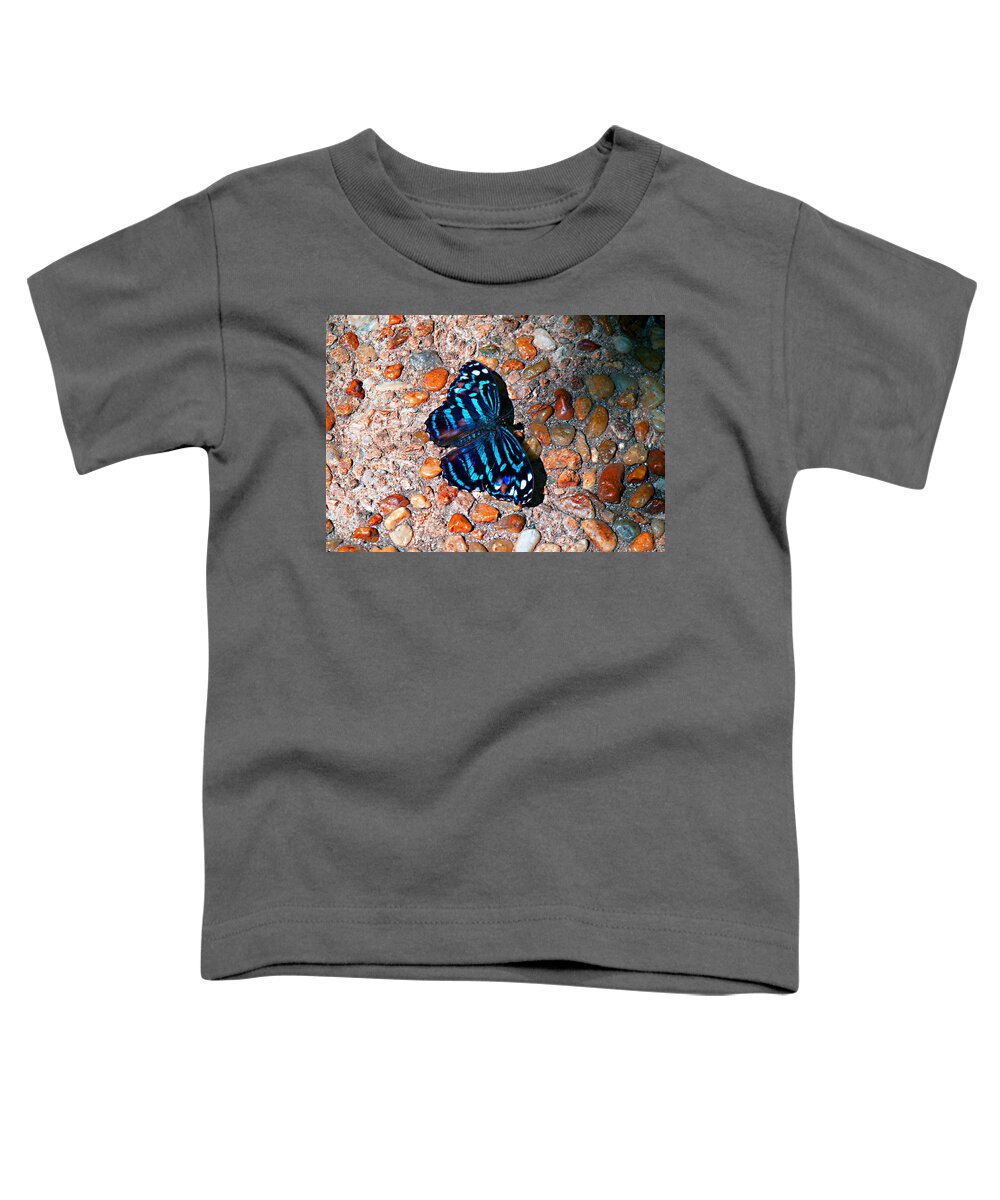 On The Rocks Toddler T-Shirt featuring the photograph On The Rocks by Bob Johnson