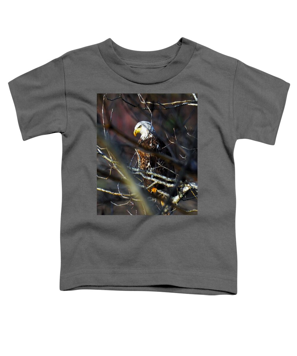 Eagle Toddler T-Shirt featuring the photograph On Watch by Chuck Brown