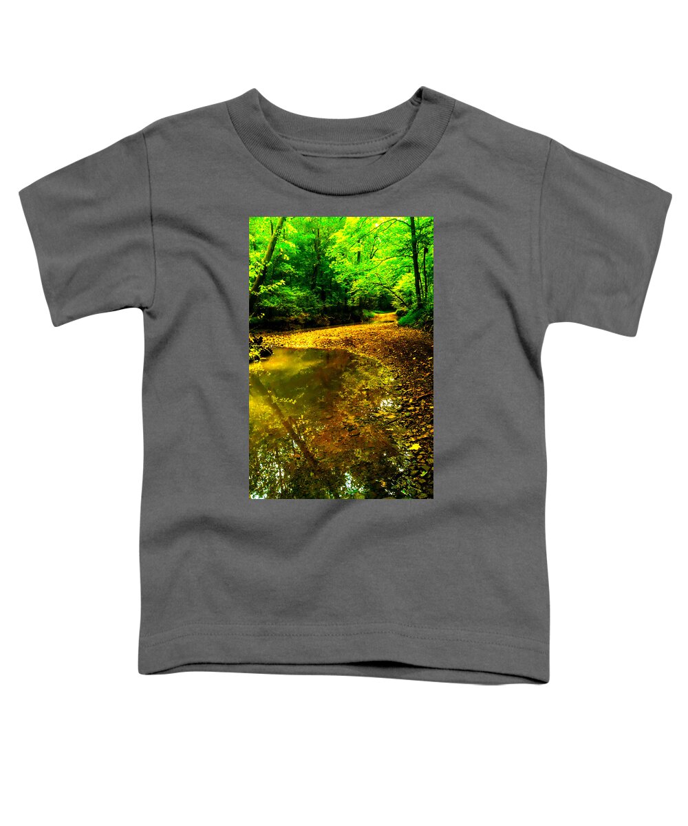 Streambed Toddler T-Shirt featuring the photograph One Road Out by Jeff Kurtz