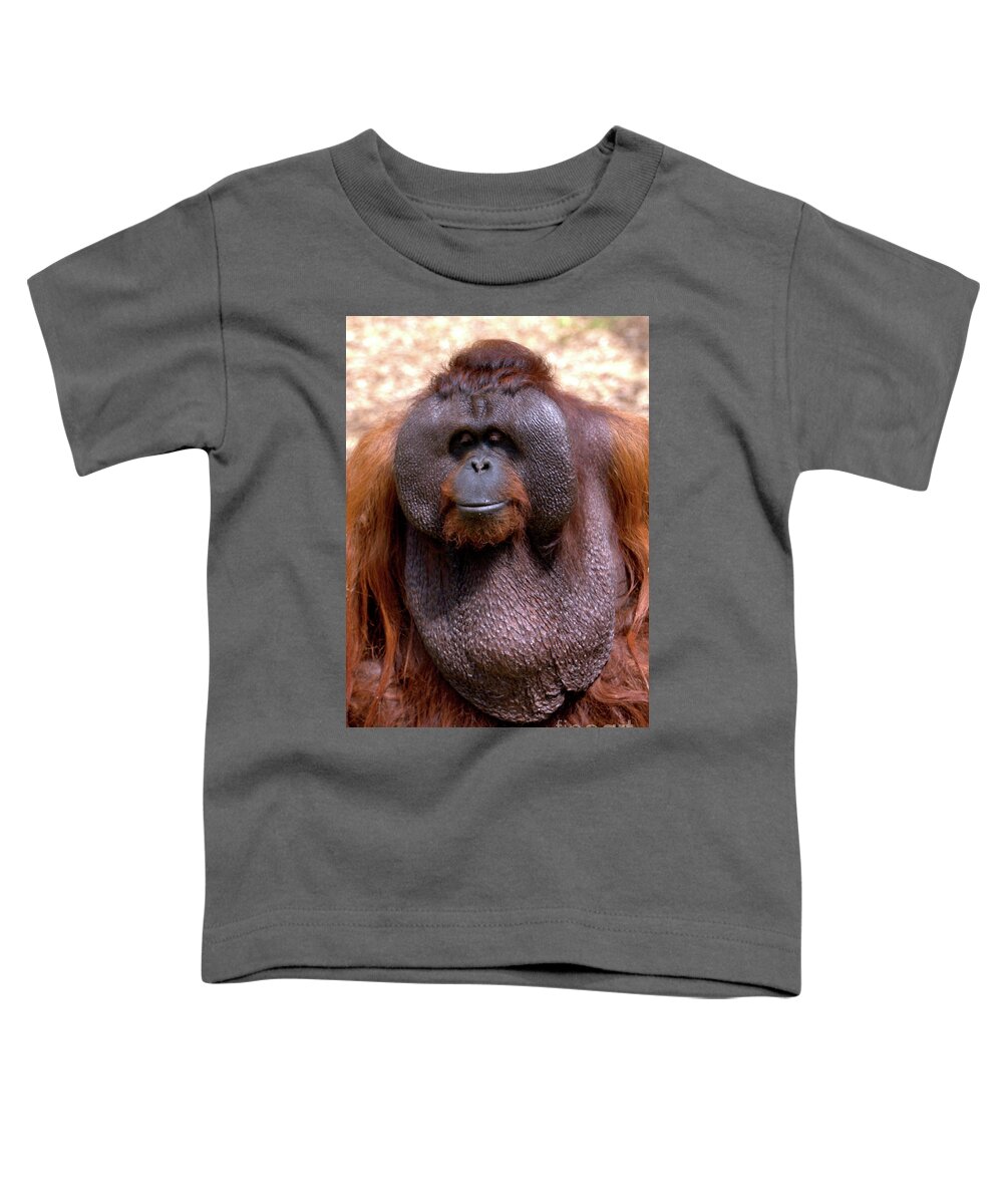 Ape Toddler T-Shirt featuring the photograph Orangutan portrait by Baggieoldboy