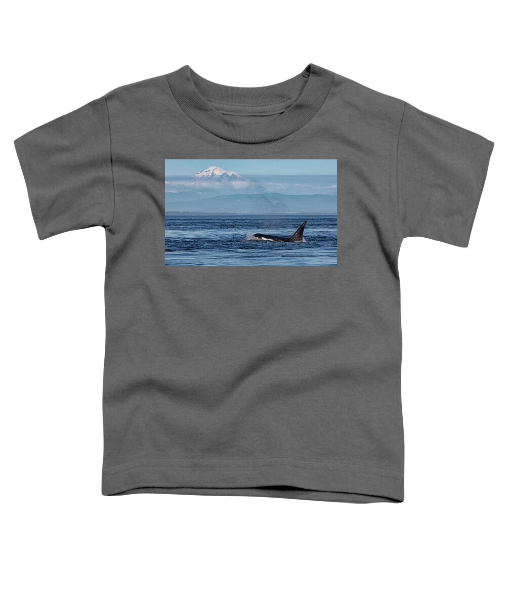 Orca Toddler T-Shirt featuring the photograph Orca Male With Mt Baker by Randy Hall