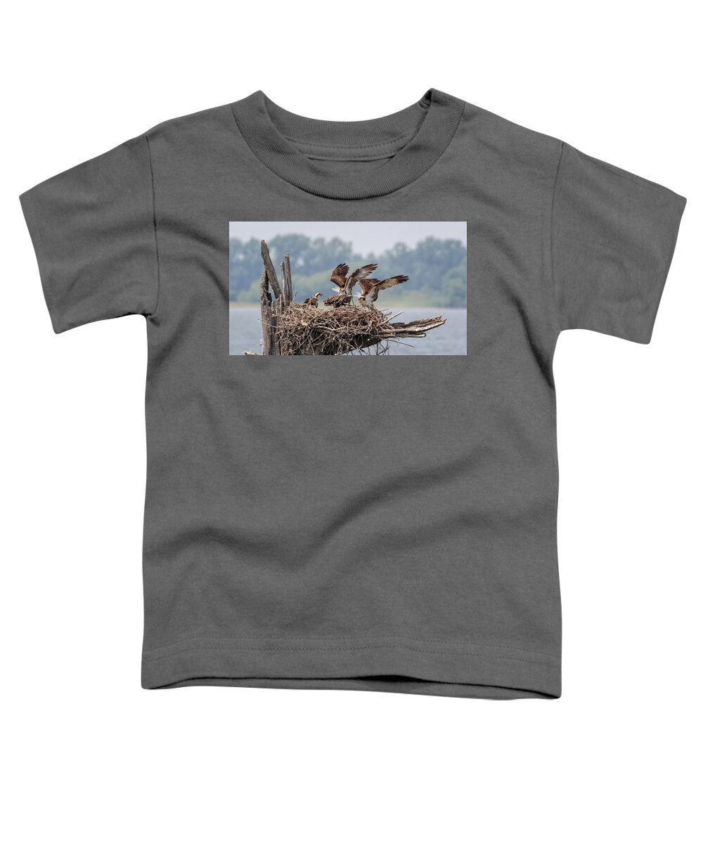 Osprey Toddler T-Shirt featuring the photograph Osprey Flying Class by Susan Rissi Tregoning