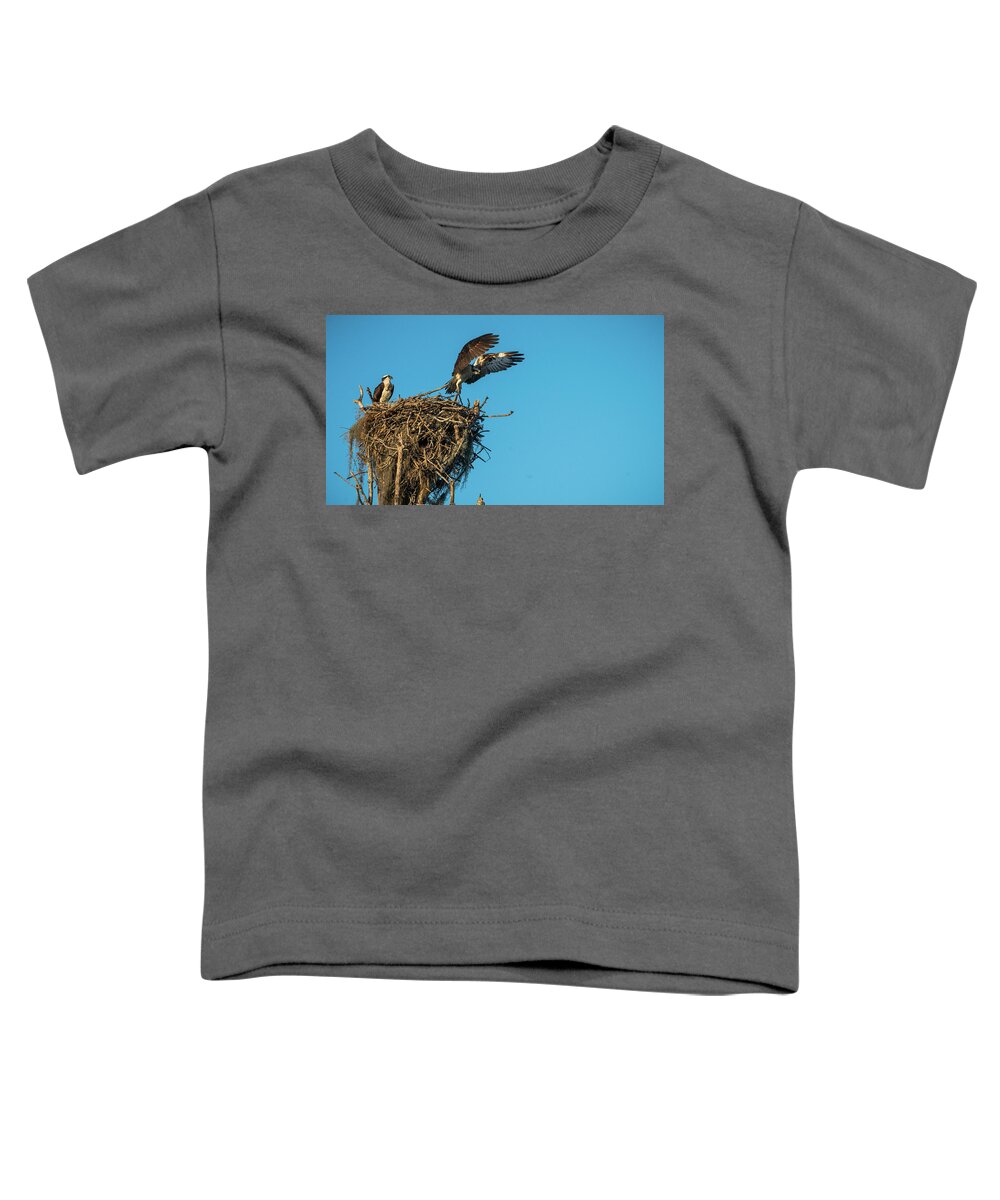 Florida Toddler T-Shirt featuring the photograph Osprey Takes Flight Everglades National Park Florida by Lawrence S Richardson Jr