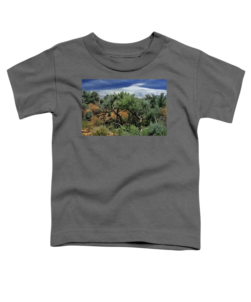 Landscape Toddler T-Shirt featuring the photograph Out On The Mesa 3 by Ron Cline