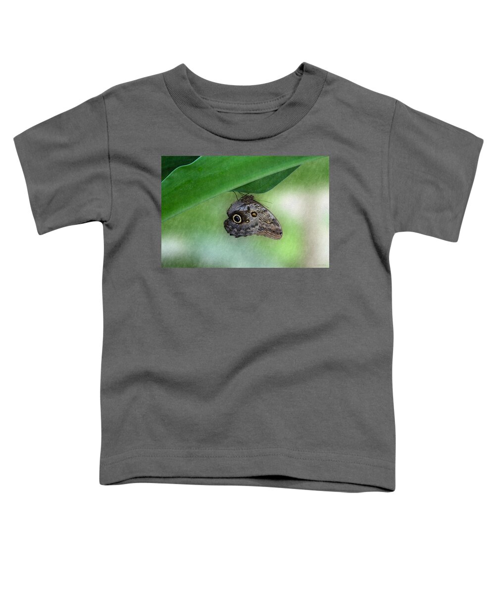 Bonnie Follett Toddler T-Shirt featuring the photograph Owl butterfly hanging by Bonnie Follett