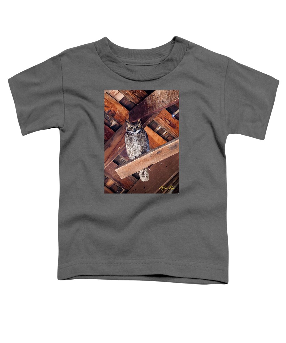 Animals Toddler T-Shirt featuring the photograph Owl in a Barn by Rikk Flohr
