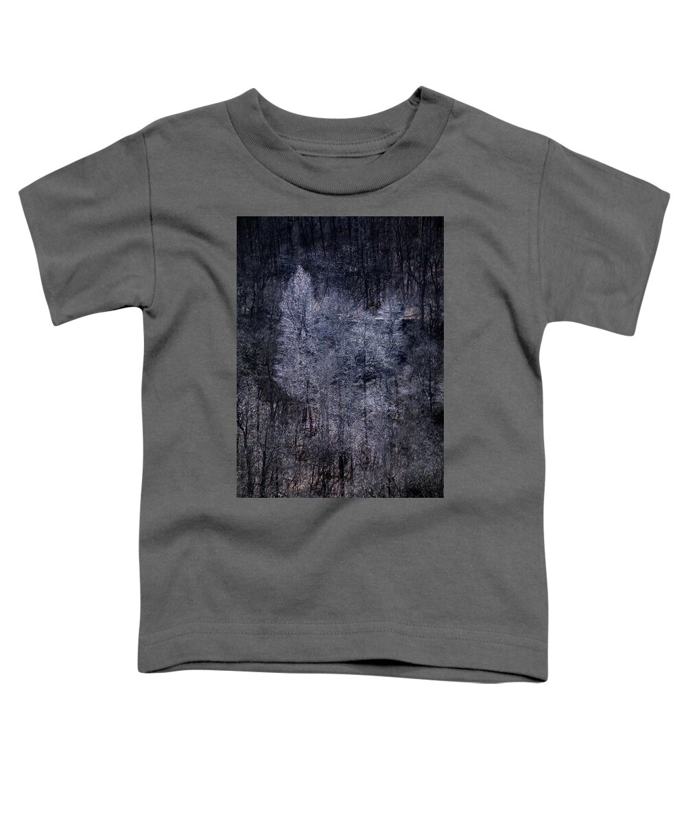 Autumn Toddler T-Shirt featuring the photograph Ozarks Trees #6 by David Chasey