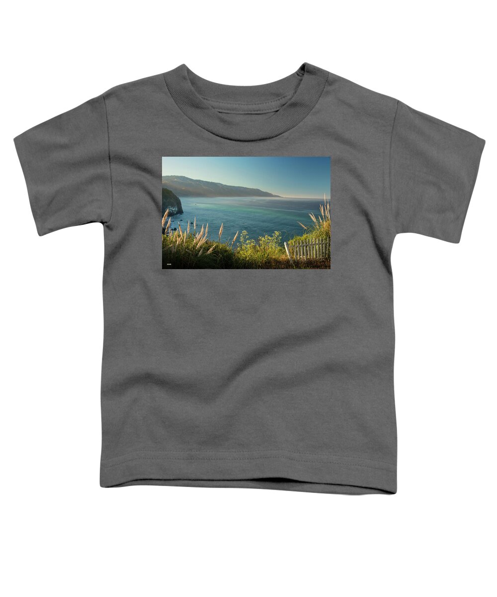 Pacific Toddler T-Shirt featuring the photograph Pacific Ocean, Big Sur by Dana Sohr