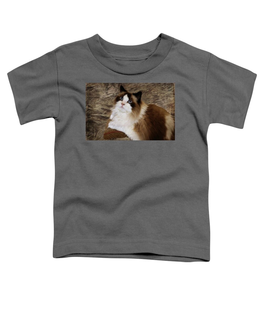 Cat Toddler T-Shirt featuring the photograph Painted Princess by Judy Vincent