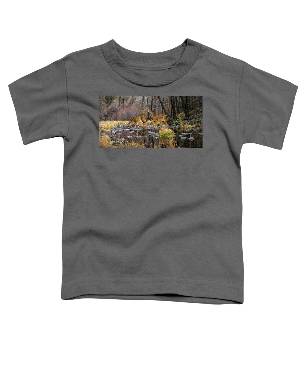 Art Toddler T-Shirt featuring the photograph Panorama of a Woodland Creek with Whitetail Dee by Randall Nyhof