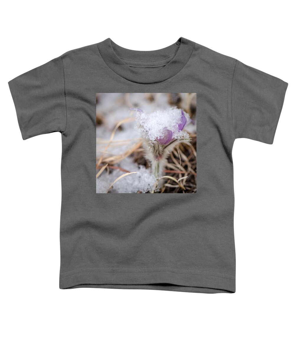 Dakota Toddler T-Shirt featuring the photograph Pasqueflower in the Snow by Greni Graph