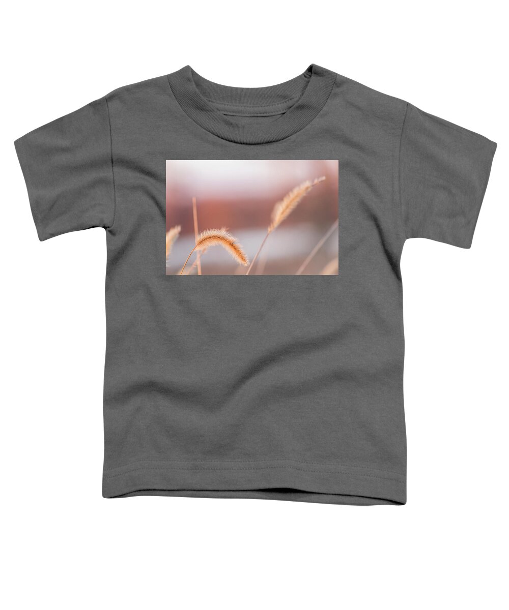 Weeds Toddler T-Shirt featuring the photograph Pastel Sunset by Holly Ross