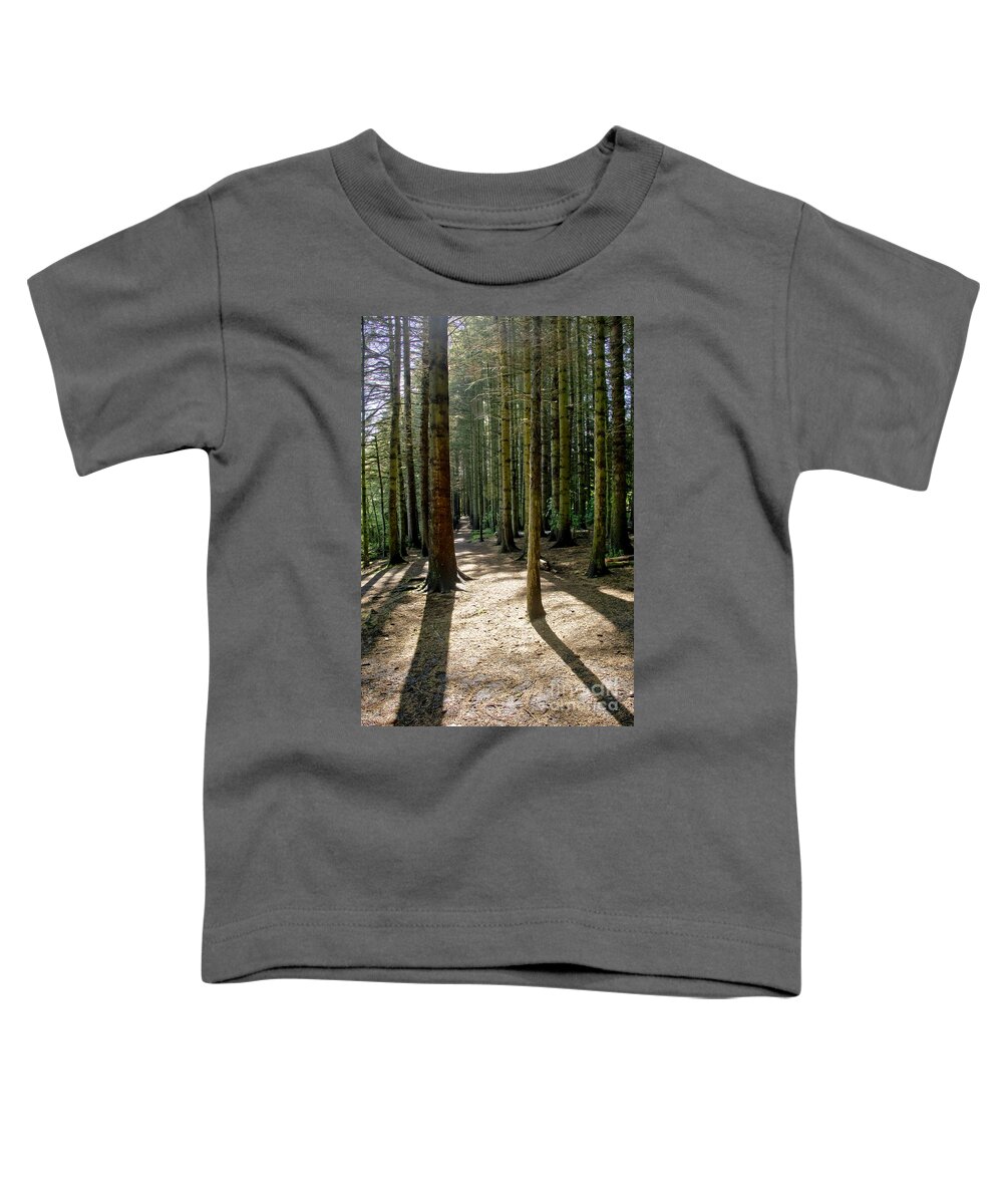 Beecraigs Toddler T-Shirt featuring the photograph Path through the woods. by Elena Perelman