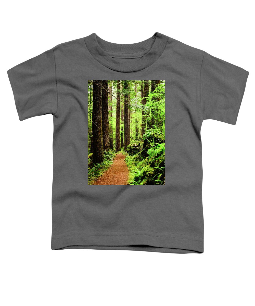 Woods Toddler T-Shirt featuring the photograph Path to Peace by Tim Dussault