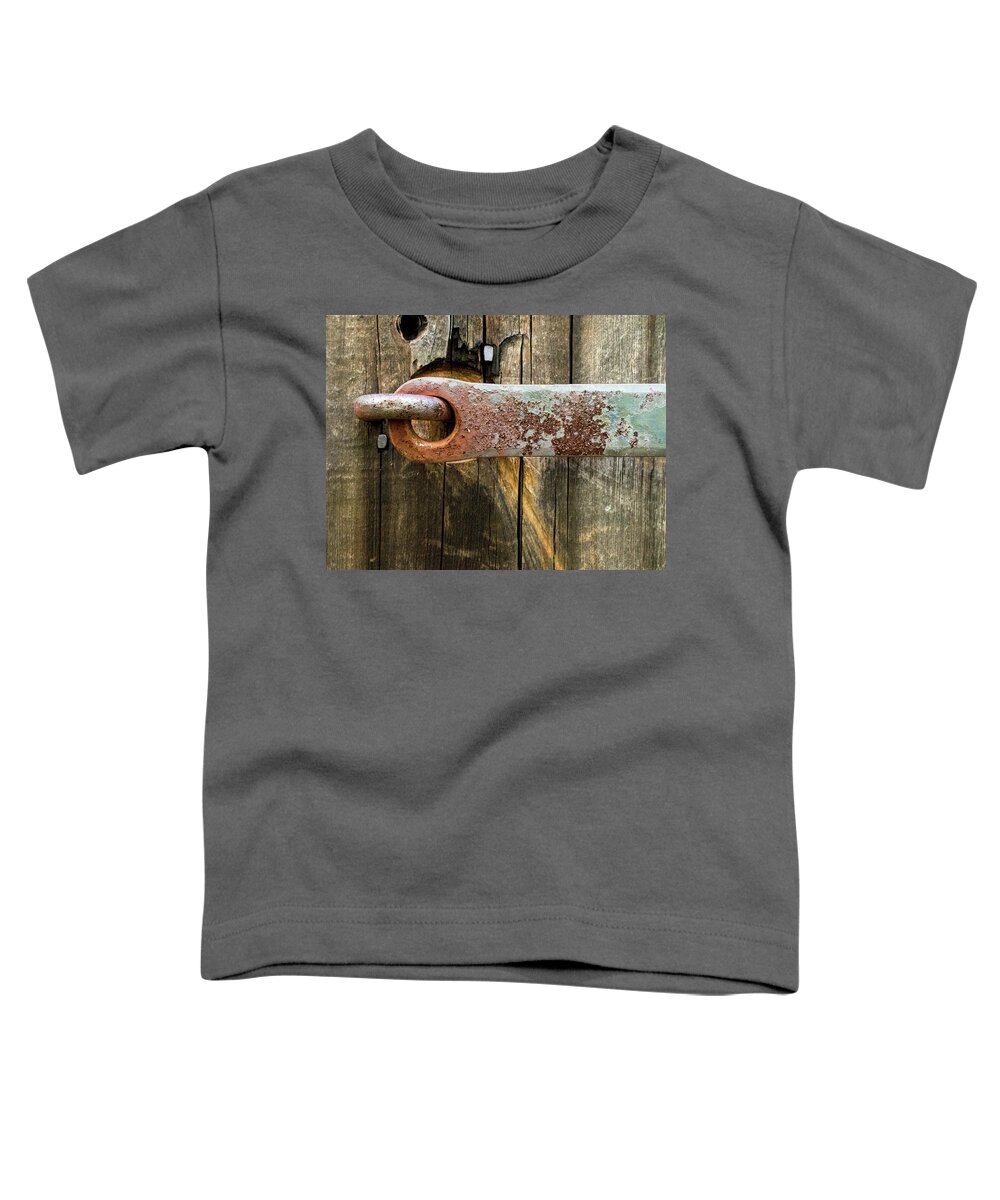 Patina Toddler T-Shirt featuring the photograph Patina by Holly Ross