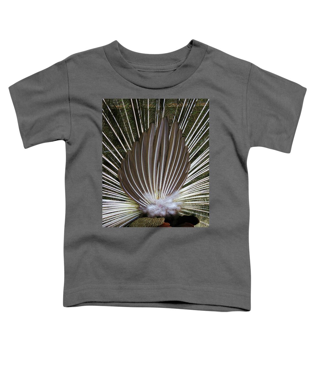 Peacock Toddler T-Shirt featuring the photograph Peacock Back Fan by Helaine Cummins