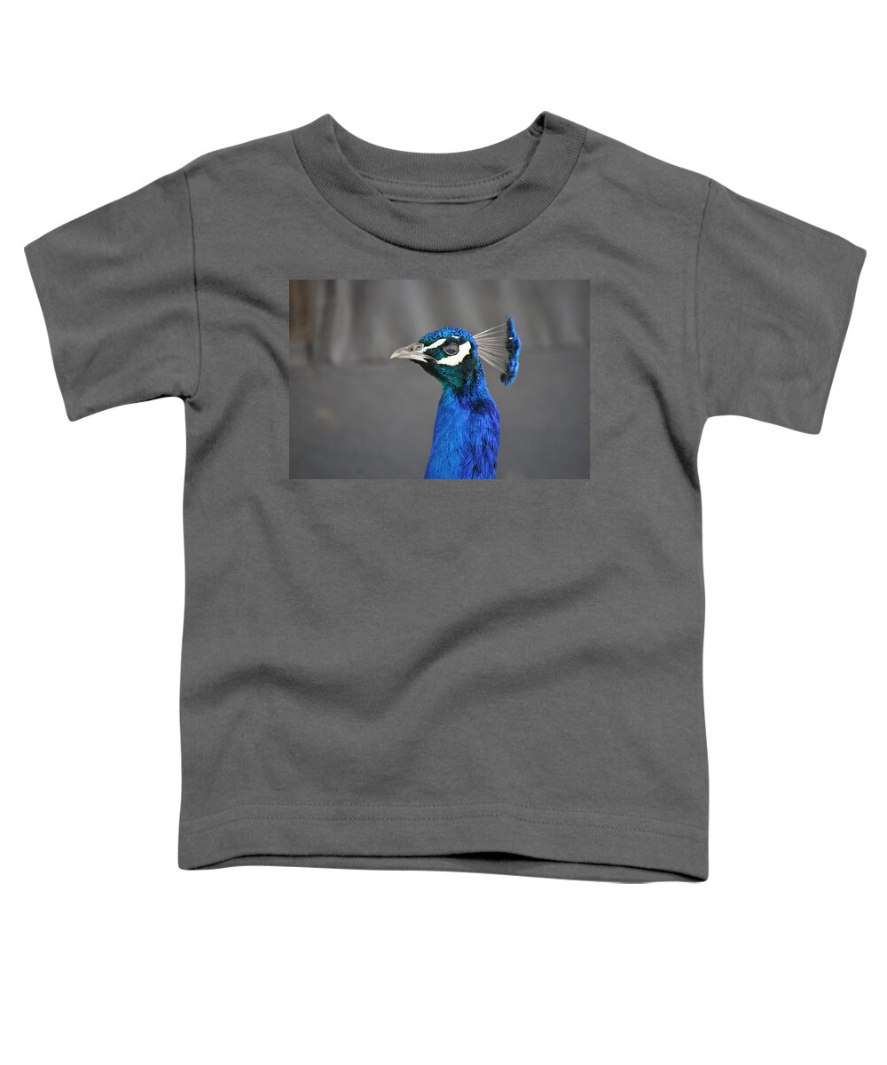 Blue Toddler T-Shirt featuring the photograph Peacock Stare Down by Bridgette Gomes