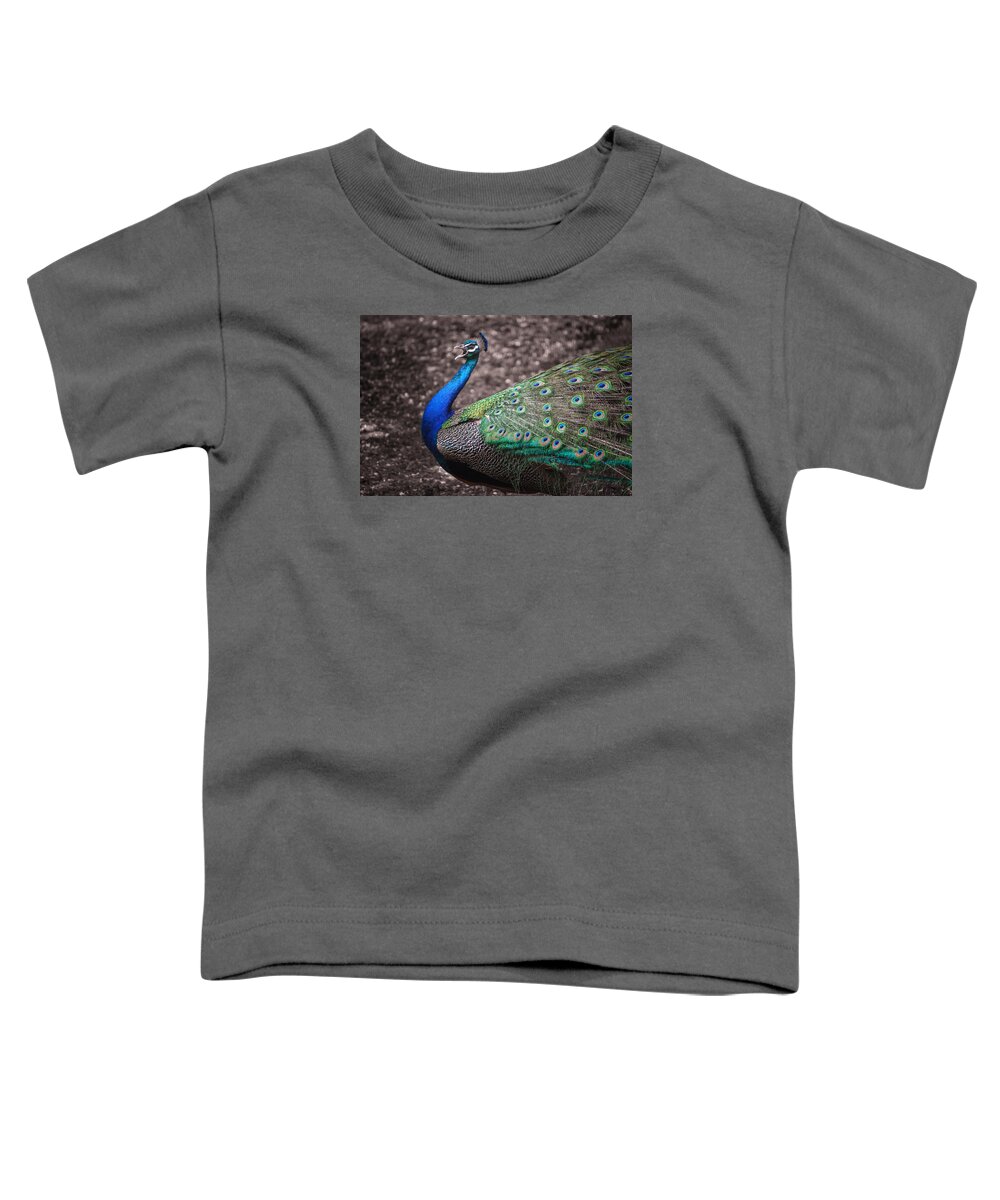 Cosley Toddler T-Shirt featuring the photograph Peacock Strut by Joni Eskridge