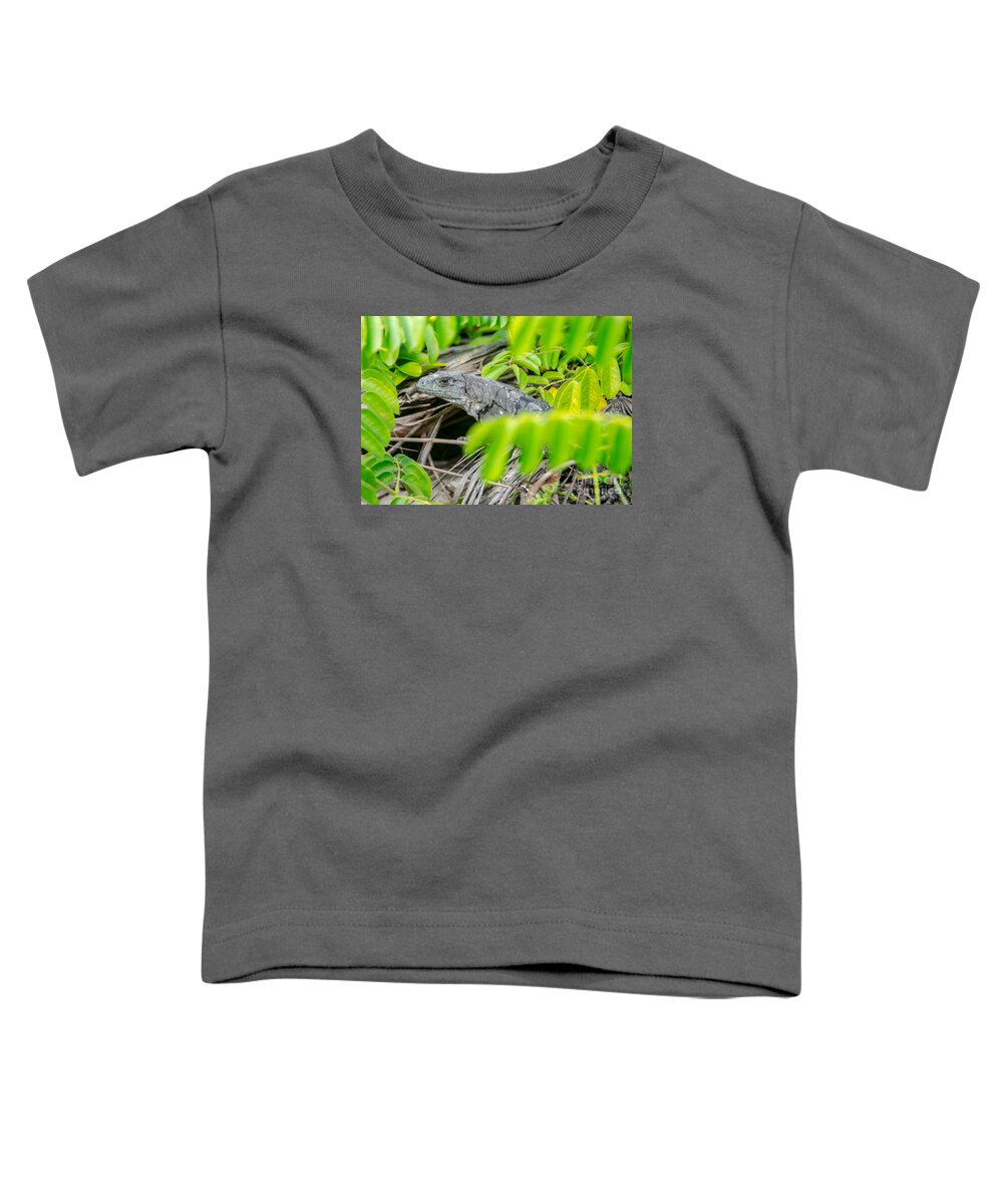 Cheryl Baxter Photography Toddler T-Shirt featuring the photograph Peek a boo Iguana by Cheryl Baxter