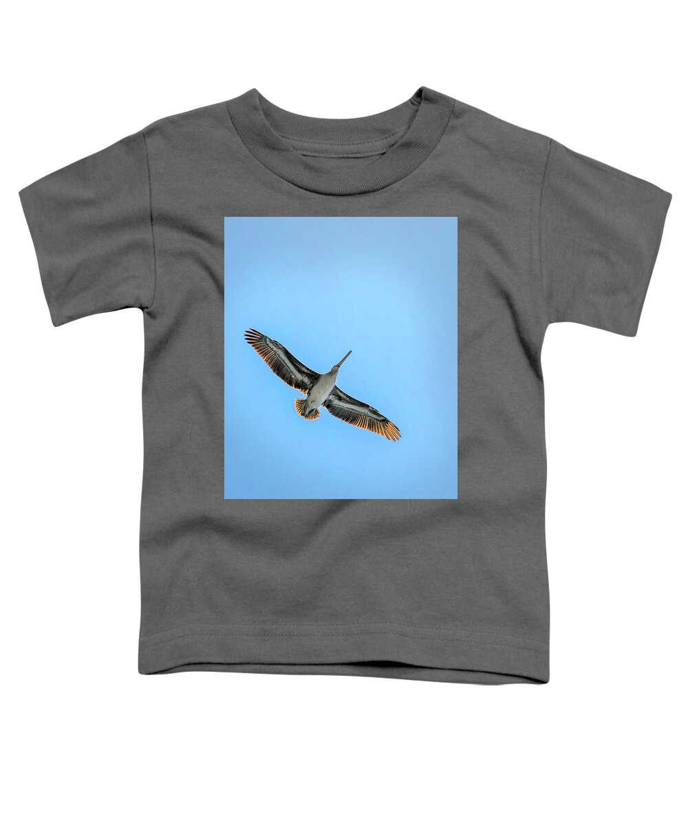 Brown Pelican Toddler T-Shirt featuring the photograph Pelican Overhead by Endre Balogh