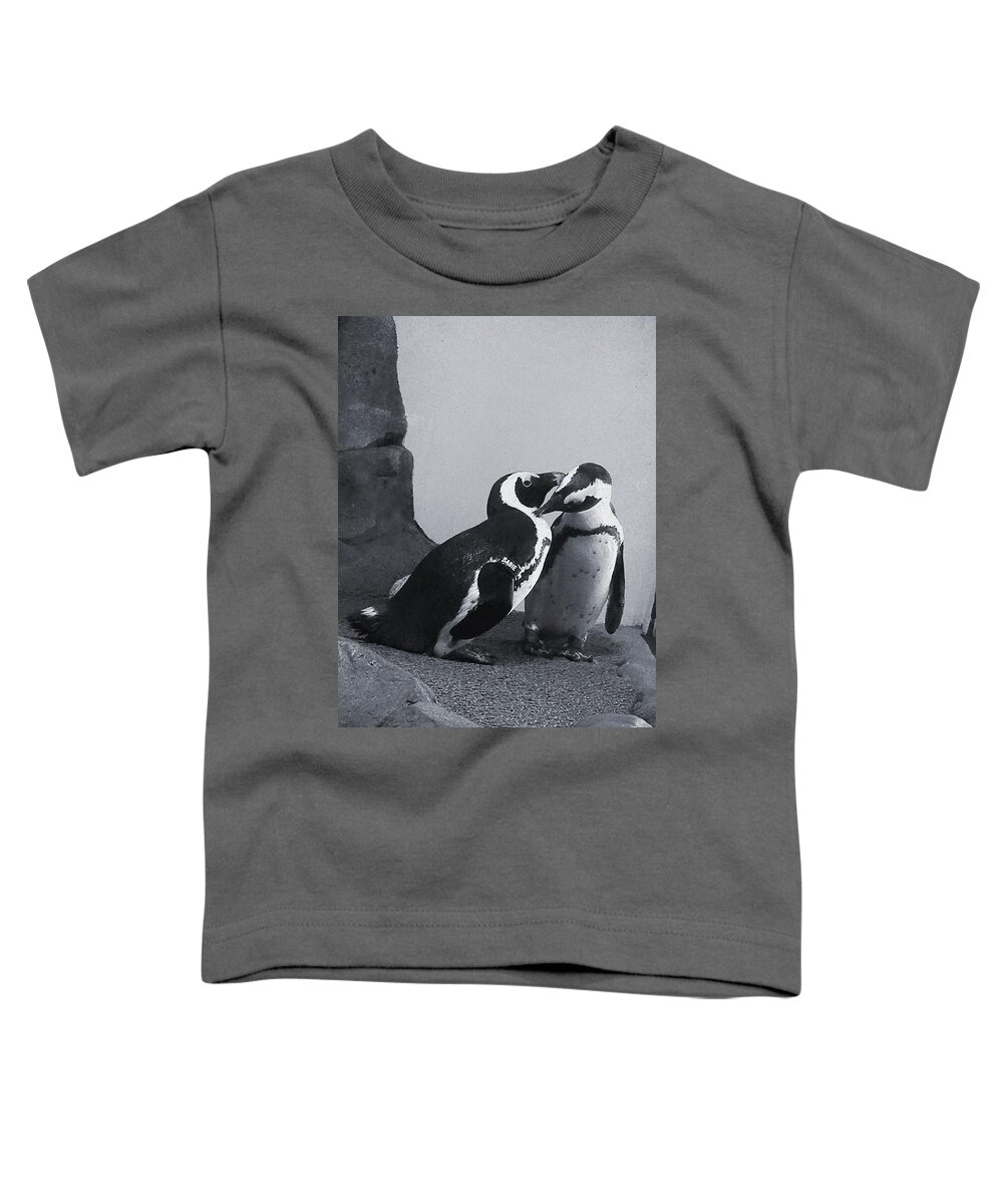 Penguins Toddler T-Shirt featuring the photograph Penguins by Sandy Taylor
