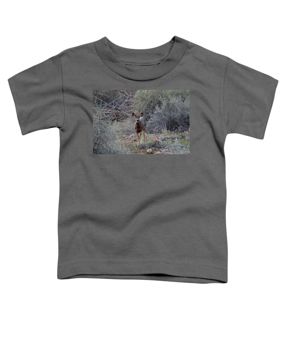 Deer Toddler T-Shirt featuring the photograph People Watching by Christy Pooschke