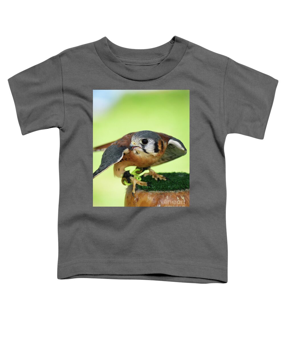 American Kestrel Toddler T-Shirt featuring the photograph Perched Kestrel by Kathy Kelly