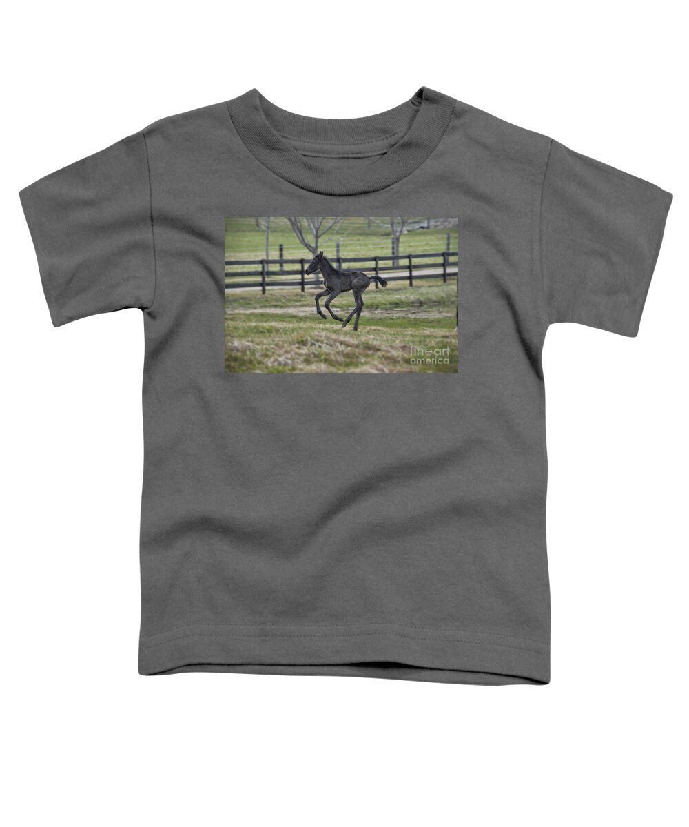 Running Colt Toddler T-Shirt featuring the photograph Perry's Colt Running by David Arment