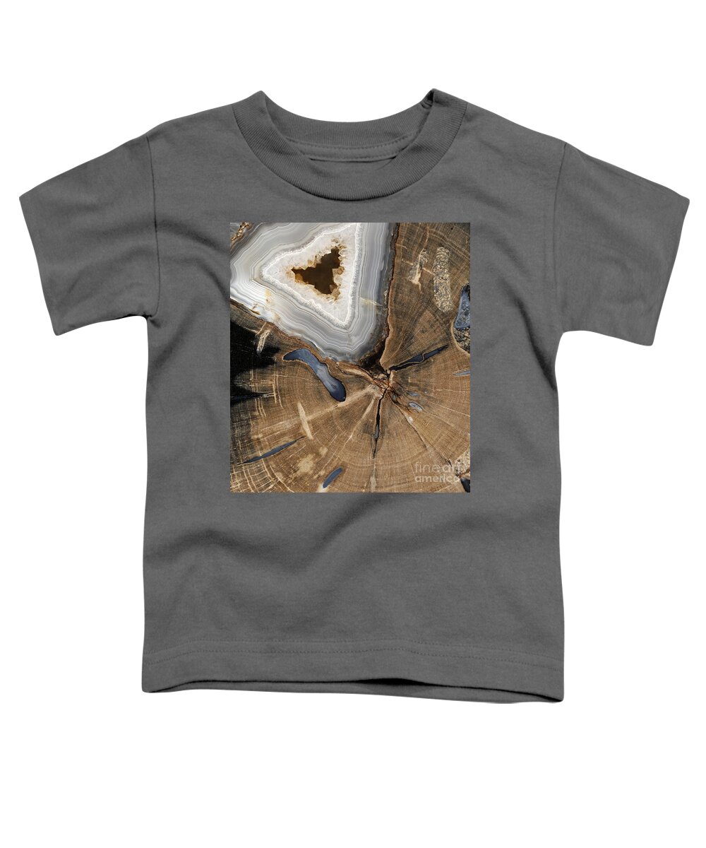 Ancient Toddler T-Shirt featuring the photograph Petrified Wood by Ted Kinsman