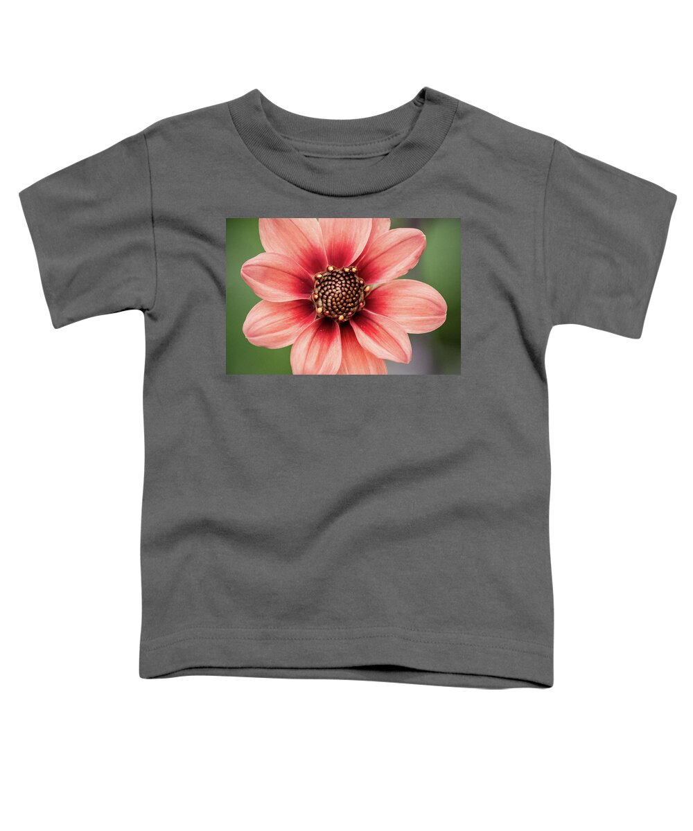 Flowers Toddler T-Shirt featuring the photograph PGC Dahlia by Don Johnson