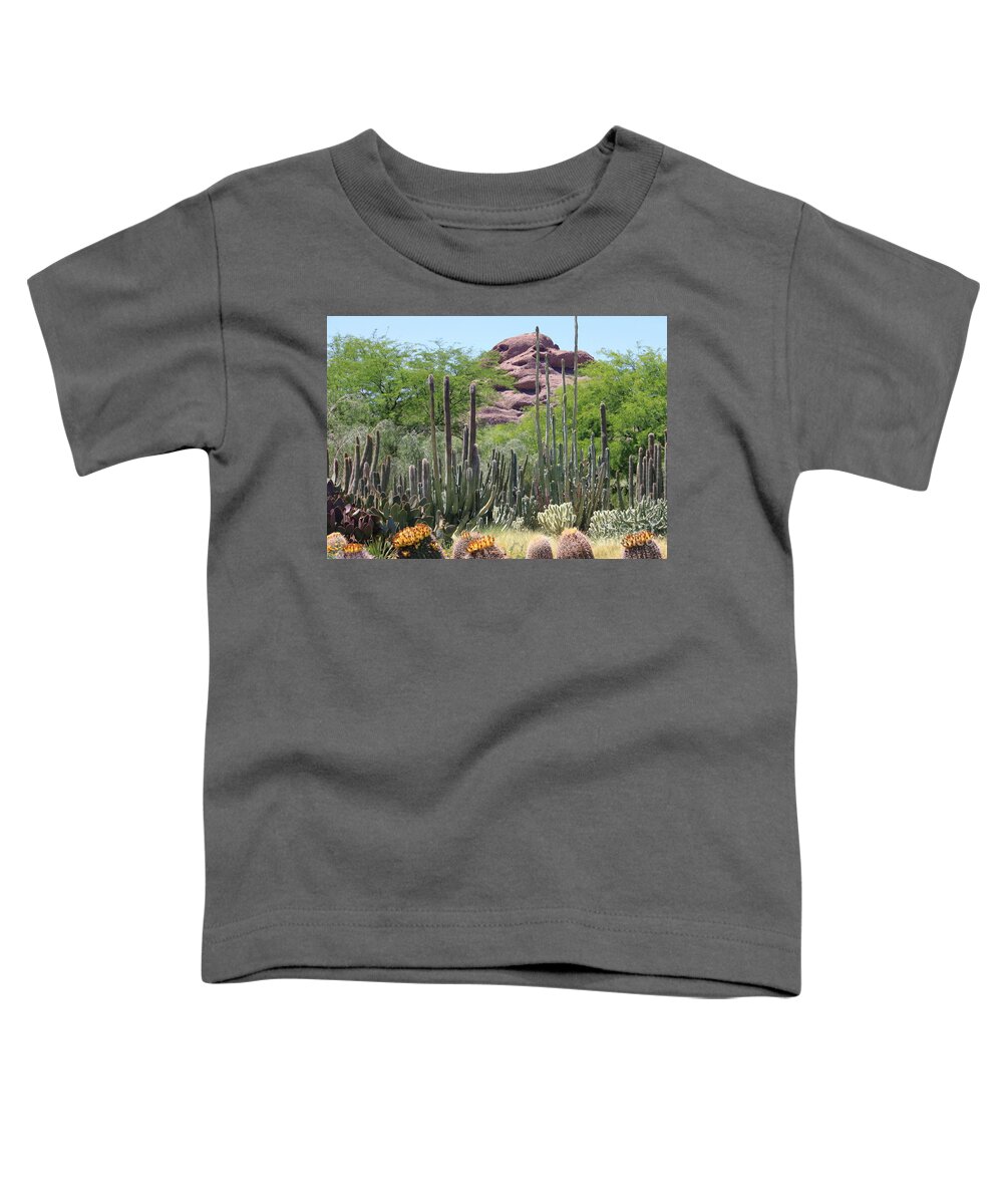 Desert Toddler T-Shirt featuring the photograph Phoenix Botanical Garden by Carol Groenen