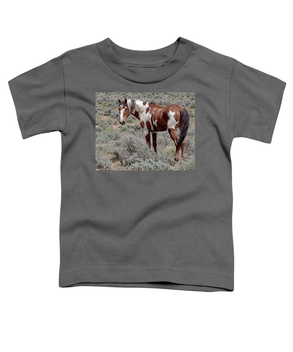 Picasso Toddler T-Shirt featuring the photograph Picasso of Sand Wash Basin #2 by Mindy Musick King