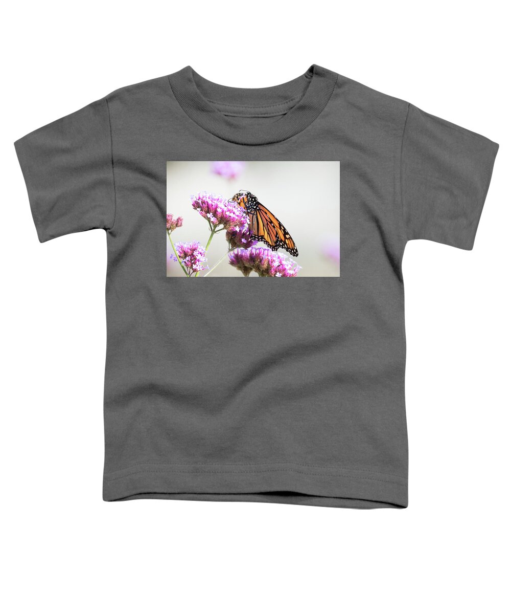 Monarch Butterfly Butterflies Nature Outside Outdoors Insect Nature Natural Wild Life Wildlife Macro Closeup Close-up Ma Mass Massachusetts Wings Flower Botany Botanic Botanical Garden Gardening Brian Hale Brianhalephoto Newengland New England U.s.a. Usa Pollen Nectar Pick Picking Picked Proboscis Sniffing Feeding Toddler T-Shirt featuring the photograph Picking Flowers by Brian Hale