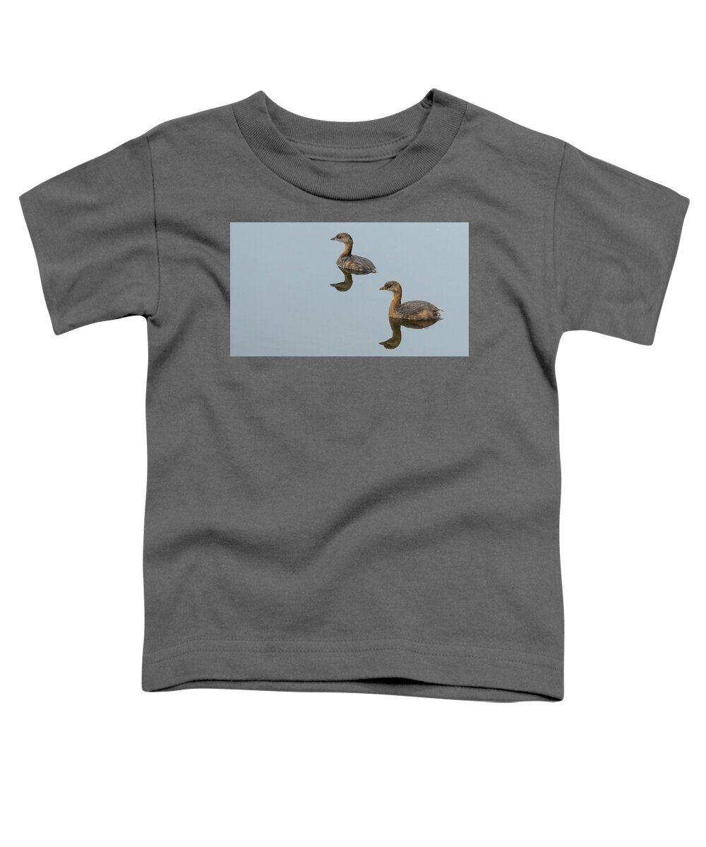 Florida Toddler T-Shirt featuring the photograph Pied-billed Grebes Delray Beach Florida by Lawrence S Richardson Jr
