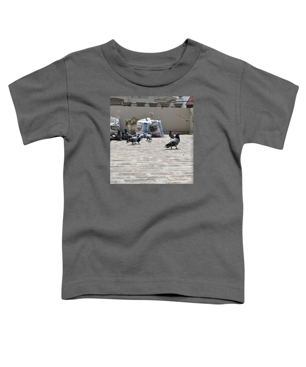 Pigeons Toddler T-Shirt featuring the photograph Pigeons 1 by Sumit Mehndiratta