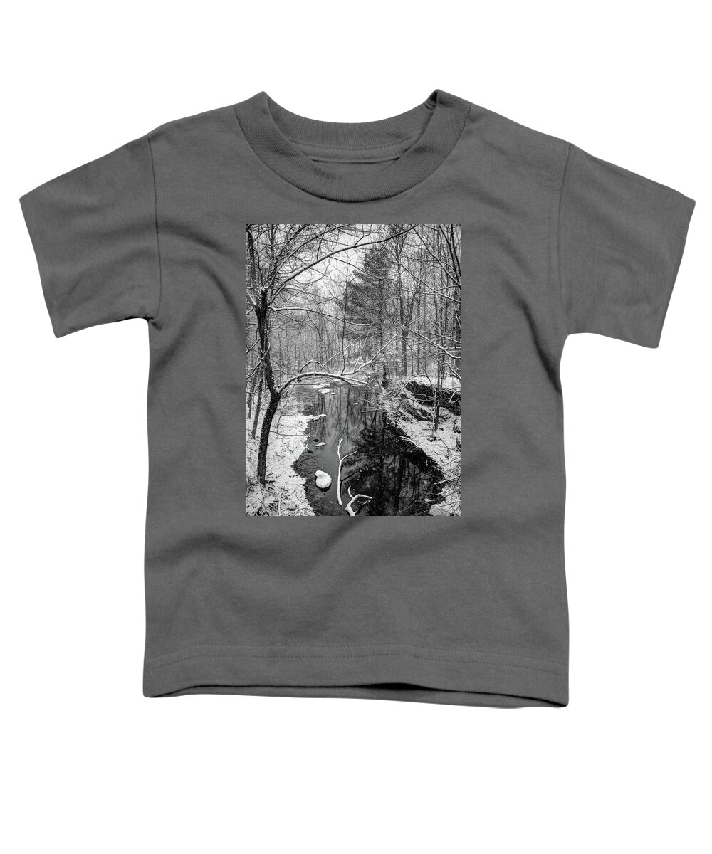 Snow Toddler T-Shirt featuring the photograph Pine Reflection on the Sheepscot by John Meader